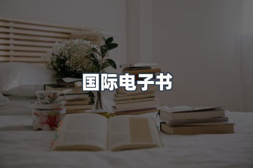 国际电子书